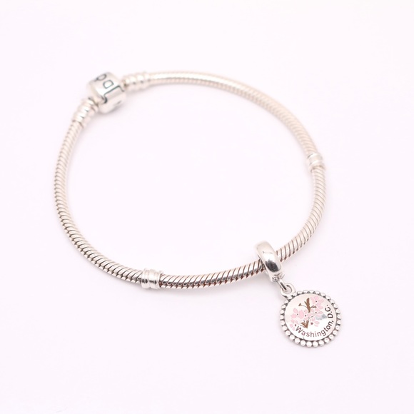 RARE Special Edition PANDORA Washington DC Dangle - Picture 13 of 13